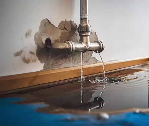 Professional Water Damage Restoration Experts in Revere, MA — Fast, Reliable & Certified